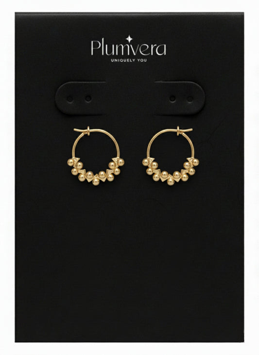 Plumvera Stainless Steel Hoops Earrings