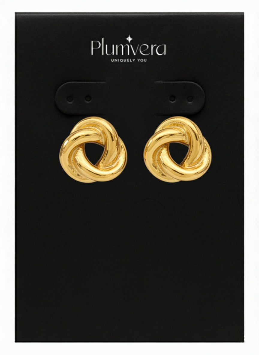 Plumvera Stainless Steel Earrings