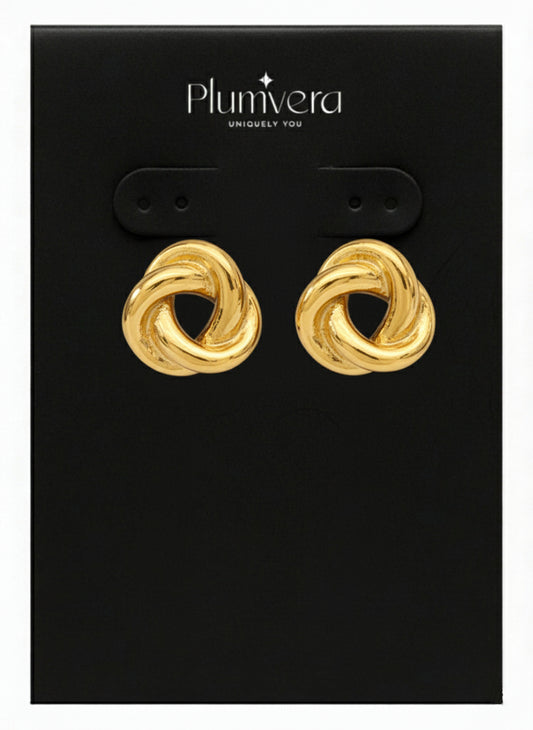 Plumvera Stainless Steel Earrings