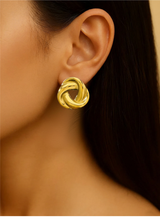 Plumvera World Stainless Steel Earrings