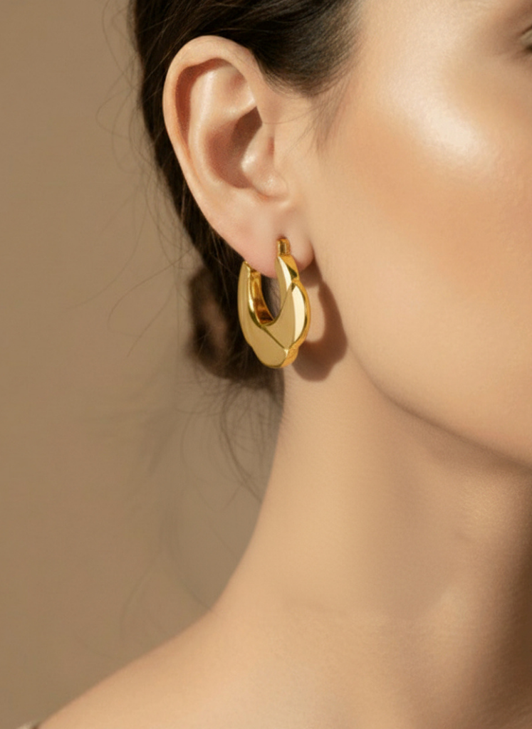 Plumvera World Eternal Shine Hoops Earrings